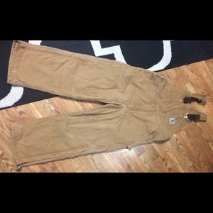 Carhartt Insulated Bibs GUC 36x28